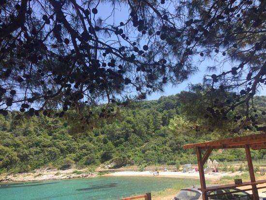 Secluded Holiday Home Heritage พอสติรา ภายนอก รูปภาพ