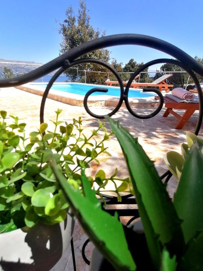 Secluded Holiday Home Heritage พอสติรา ภายนอก รูปภาพ